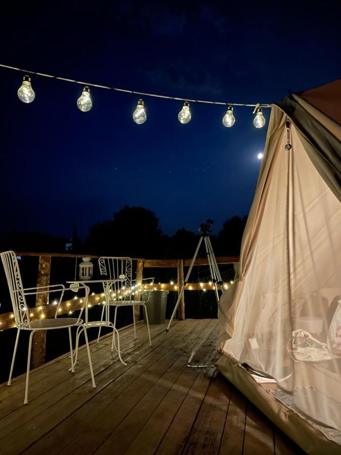 Saschiz 130/Lodging And Glamping Exteriör bild