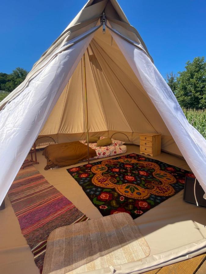 Saschiz 130/Lodging And Glamping Exteriör bild