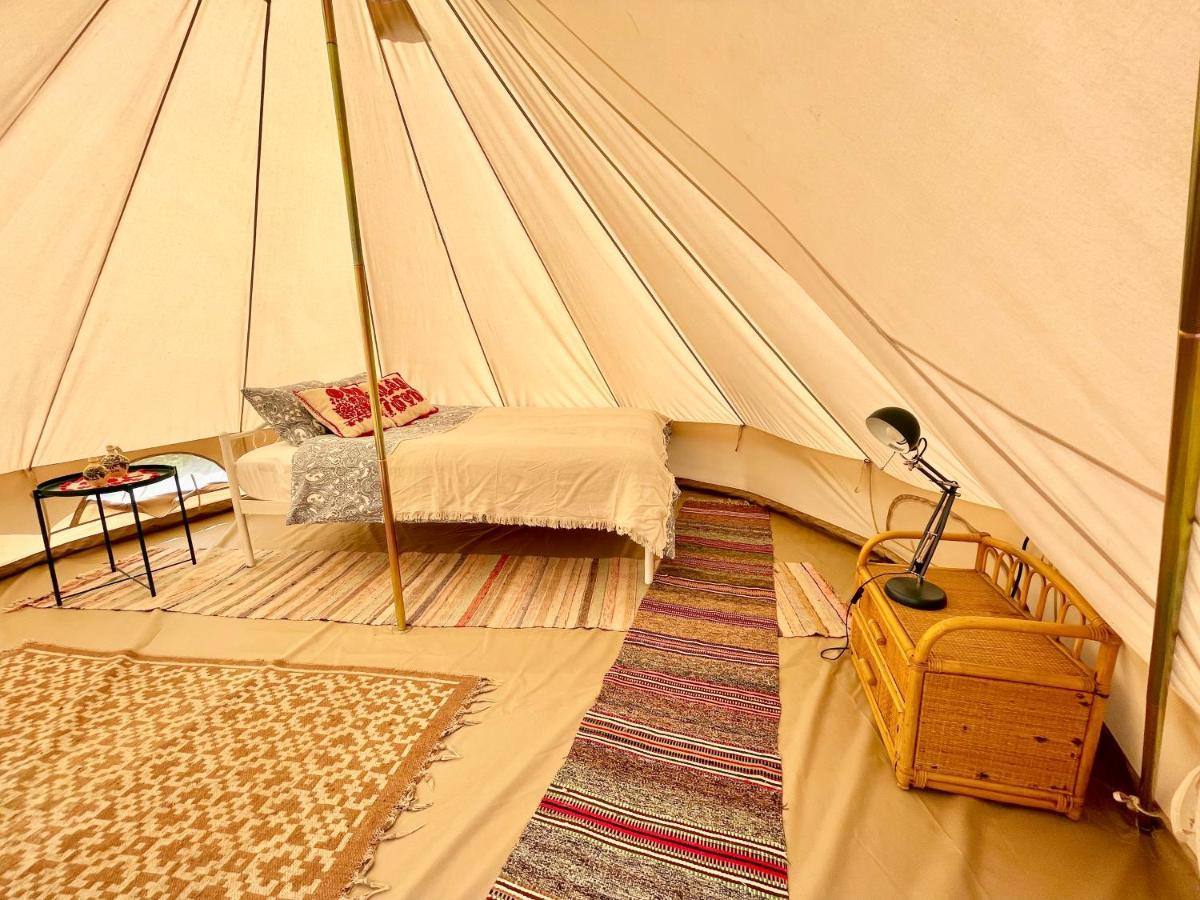 Saschiz 130/Lodging And Glamping Exteriör bild