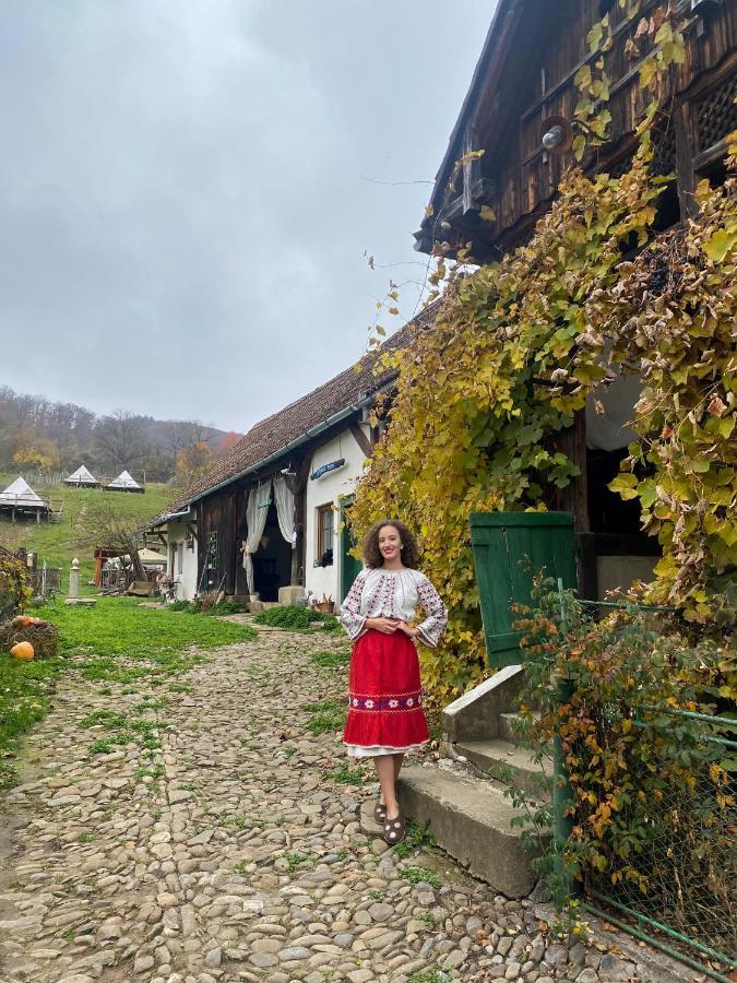 Saschiz 130/Lodging And Glamping Exteriör bild