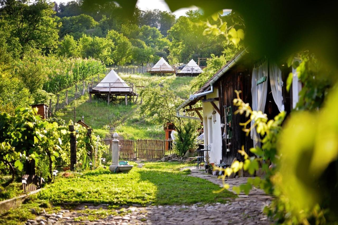 Saschiz 130/Lodging And Glamping Exteriör bild