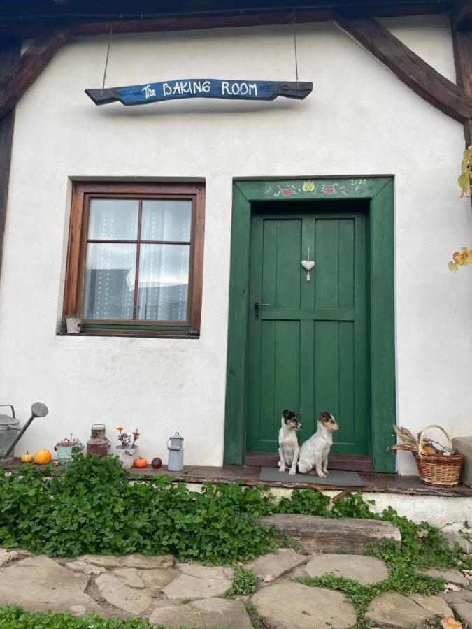 Saschiz 130/Lodging And Glamping Exteriör bild